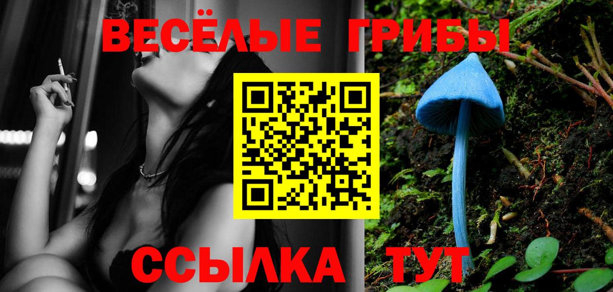 Псилоцибиновые грибы ЛСД Горячий Ключ